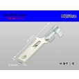 Photo1: [Yazaki] 250 type male terminal (for the 0.85-2.0mm2 electric wire) male terminal [sn plating] /M250sn (1)