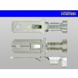 Photo3: [Yazaki] 250 type male terminal (for the 0.85-2.0mm2 electric wire) male terminal [sn plating] /M250sn (3)