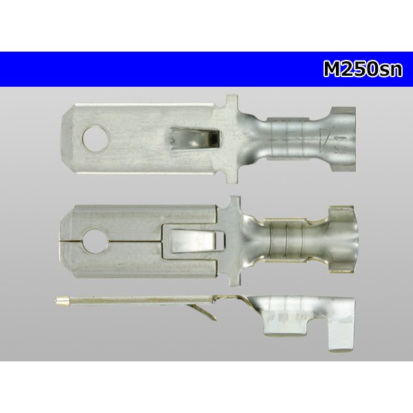 Photo3: [Yazaki] 250 type male terminal (for the 0.85-2.0mm2 electric wire) male terminal [sn plating] /M250sn