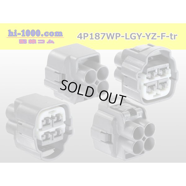 Photo2: 4P187WP-LGY-YZ-F-tr