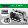 Photo1: ●[TE] SRS series 34 pole waterproofing F connector  /34P-TE-SRS10WP-5-M (1)