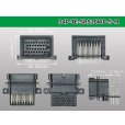 Photo4: ●[TE] SRS series 34 pole waterproofing F connector  /34P-TE-SRS10WP-5-M (4)