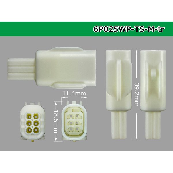 Photo3: ●[sumitomo]025 type TS waterproofing series 6 pole M connector (no terminals) /6P025WP-TS-M-tr