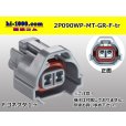 Photo1: ●[sumitomo] 090 type MT waterproofing series 2 pole F connector [gray]（no terminals）/2P090WP-MT-GR-F-tr (1)