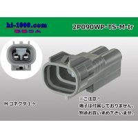 ●[sumitomo] 090 type TS waterproofing series 2 pole M connector（no terminals）/2P090WP-TS-M-tr