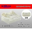 Photo1: ●[sumitomo]025 type 22 pole TS series F connector (terminals) /22P025-SMTS-F-tr (1)