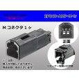 Photo1: ●[TE]040 model 2 pole multi-lock M connector [black] (no terminals) /2P040-AMP-M-tr (1)
