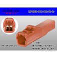 Photo1: ●[sumitomo]050 type HC series 2 pole M connector[orange] (no terminals)/2P050-HC-OR-M-tr (1)