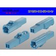 Photo2: ●[sumitomo]050 type HC series 2 pole M connector[skyblue] (no terminals)/2P050-HC-SB-M-tr (2)