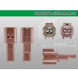 Photo3: ●[yazaki] 060 type 62 waterproofing series Z type 2 pole M connector [brown] (no terminal)/2P060WP-62Z-BR-M-tr (3)