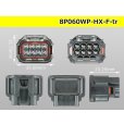 Photo3: ●[sumitomo] 060 type HX waterproofing 8 pole F connector(no terminals) /8P060WP-HX-F-tr (3)