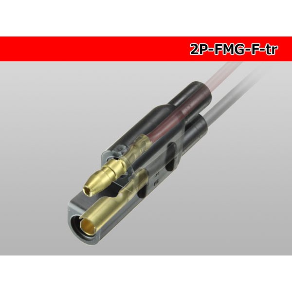 Photo6: [yazaki] Bullet terminal 2 pole F connector (no terminals) /2P-FMG-F-tr