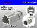 ●[sumitomo] 090 type HD series 2 pole M connector（no terminals）/2P090-HD-M-tr