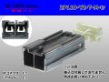 [yazaki] 110 type T type 2 pole M connector (no terminals) /2P110-YZ-T-M-tr