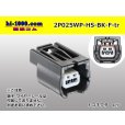 Photo1: [yazaki]025 type HS waterproofing series 2 pole F connector [black] (no terminals) /2P025WP-HS-BK-F-tr (1)