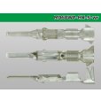 Photo3: [Sumitomo] 060 Tab Size HX Sealed Series Male Terminal - S Size (Wire Seal Not Included) (3)