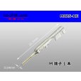 Photo1: 025 Tab Size Unsealed Male Terminal - Sumitomo HE Series - Size Medium (1)