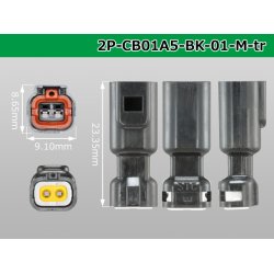 Photo3: ●[sumiko tec] CB01 series 2 pole waterproofing M connector (no terminals)/2P-CB01A5-BK-01-M-tr