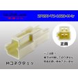 Photo1: ●[yazaki] 090II series 2 pole non-waterproofing M connector (no terminals)/2P090-YZ-1028-M-tr (1)