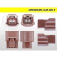 Photo3: ●[sumitomo] 090 type 62 waterproofing series E type 2 pole F connector (brown)(no terminal)/2P090WP-62E-BR-F-tr (3)