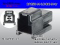●[yazaki] 250 type 91 series M-LC type 2 pole M connector black (no terminal)/2P250-M-LC-BK-M-tr