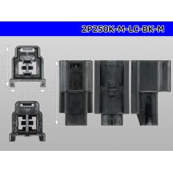 Photo3: ●[yazaki] 250 type 91 series M-LC type 2 pole M connector black (no terminal)/2P250-M-LC-BK-M-tr