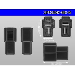 Photo3: ●[yazaki] 250 type 2 pole CN(A) series M connector[black] (no terminals) /2PF250-BK-M-tr