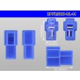 Photo3: ●[yazaki] 250 type 2 pole CN(A) series M connector[blue] (no terminals) /2PF250-BL-M-tr (3)