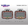 Photo4: ●[TE] SRS series 34 pole waterproofing F connector (no terminals) /34P-TE-SRS10WP-1-F-tr (4)