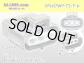 ●[sumitomo] 187 type 3 pole TS waterproofing F connector (no terminal)/3P187WP-TS-F-tr 