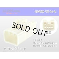 ●[yazaki] 090II series 6 pole non-waterproofing M connector [2+4 type] (no terminals) /6P090-YZ-M-tr