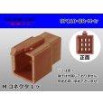Photo1: ●[sumitomo] 110 type 9 pole M connector[brown] (no terminals) /9P110-BR-M-tr (1)