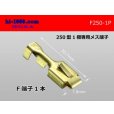 Photo1: [yazaki]250 Type  1 pole exclusive use  female  terminal /F250-1P (1)
