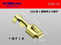 [yazaki]250 Type  1 pole exclusive use  female  terminal /F250-1P