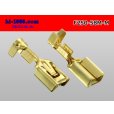Photo2: [Yazaki] 250 type 58 series M type F terminal (medium size) /F250-58M-M (2)