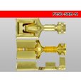 Photo3: [Yazaki] 250 type 58 series M type F terminal (medium size) /F250-58M-M (3)