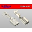 Photo2: [Yazaki] 250 type 91 series M-LC type F terminal (medium size) /F250-M-LC-M (2)