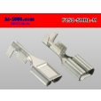 Photo2: [Sumitomo]250 type F terminal (for the Sumitomo Wiring Systems relay)/F250-SMRL-M (2)