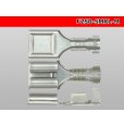 Photo3: [Sumitomo]250 type F terminal (for the Sumitomo Wiring Systems relay)/F250-SMRL-M (3)