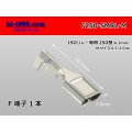 [Sumitomo]250 type F terminal (for the Sumitomo Wiring Systems relay)/F250-SMRL-M