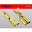 Photo2: [Nippon Tanshi]250 Type No lock F terminal only  ( No sleeve )/MNL250-sr (2)