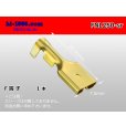 Photo1: [Nippon Tanshi]250 Type No lock F terminal only  ( No sleeve )/MNL250-sr (1)