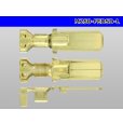 Photo3: [Furukawa] Electric DSD series 250 type M terminal (large size) /M250-FEDSD-L (3)