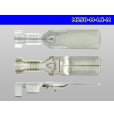 Photo3: [Yazaki] 250 type 91 series M-LC type M terminal (medium size) /M250-M-LC-M (3)