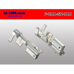 Photo2: [JAM]SN series F terminal /F-2MA-SN-JAM