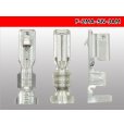 Photo3: [JAM]SN series F terminal /F-2MA-SN-JAM (3)