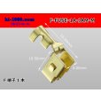 Photo1: F-FUSE-1A-JAM-M for the fuseholder made in JAM/Terminal (1)