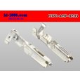 Photo2: ●[TE]070 series F terminal (small size) /F070-AMP-0203 (2)
