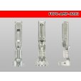 Photo3: ●[TE]070 series F terminal (small size) /F070-AMP-0203 (3)