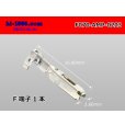 Photo1: ●[TE]070 series F terminal (small size) /F070-AMP-0203 (1)